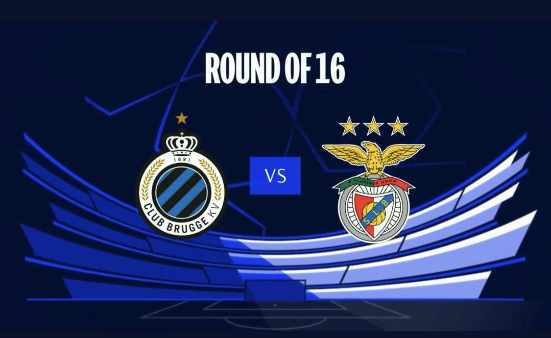 展现出了顽 展现出了顽